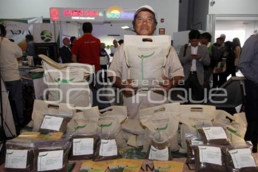 EXPO VERDE . DÍA DEL MEDIO AMBIENTE