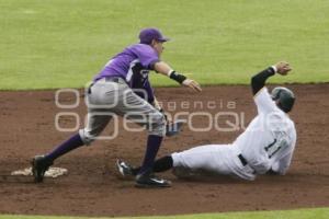 PERICOS VS DELFINES LMB