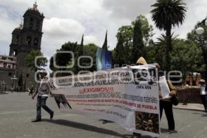 MANIFESTACIÓN EN EL ZÓCALO