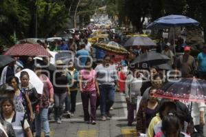 MANIFESTACIÓN