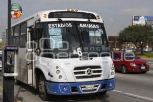 RUTAS ALIMENTADORAS