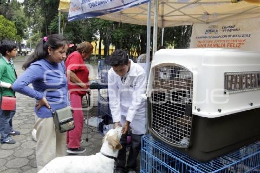 ADOPCIÓN DE MASCOTAS