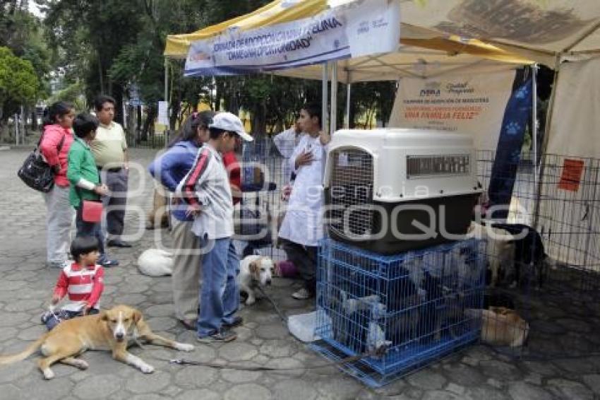 ADOPCIÓN DE MASCOTAS