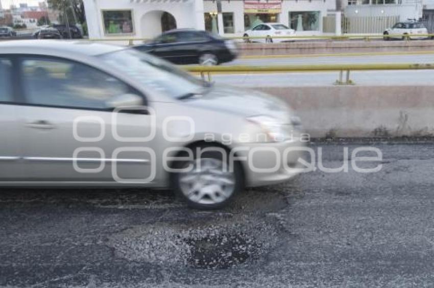 BACHES