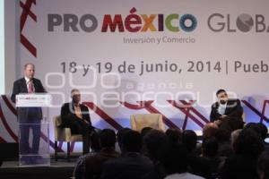 PRO MÉXICO GLOBAL . PANEL AUTOMOTRIZ