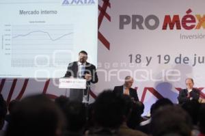 PRO MÉXICO GLOBAL . PANEL AUTOMOTRIZ