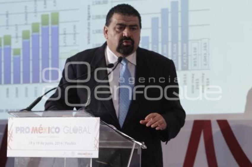 PRO MÉXICO GLOBAL . PANEL AUTOMOTRIZ