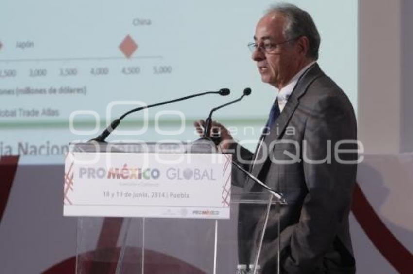 PRO MÉXICO GLOBAL . PANEL AUTOMOTRIZ