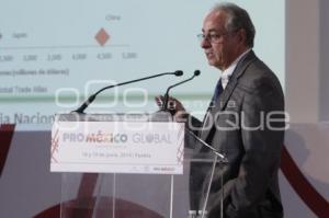 PRO MÉXICO GLOBAL . PANEL AUTOMOTRIZ