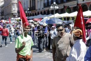 MANIFESTACIÓN ANTORCHA CAMPESINA