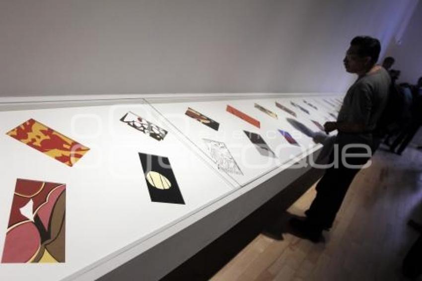 MICROMEGAS . MUSEO AMPARO