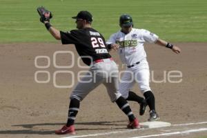 PERICOS VS TOROS