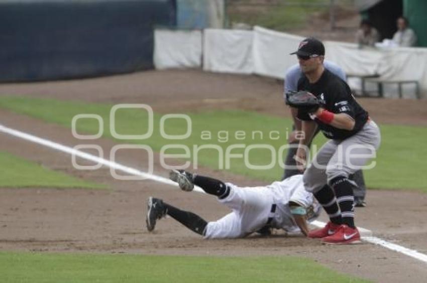 PERICOS VS TOROS . BEISBOL