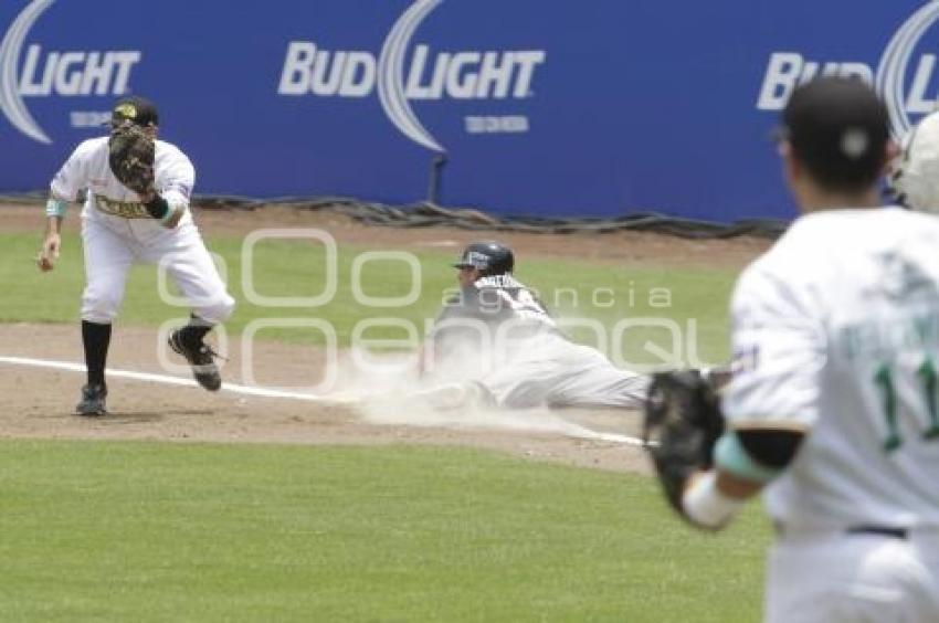 PERICOS VS TOROS . BEISBOL