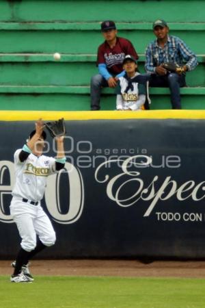 PERICOS VS TOROS . BEISBOL