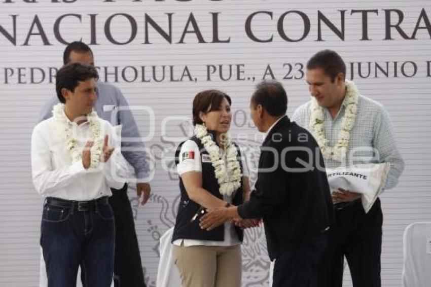 CRUZADA CONTRA EL HAMBRE