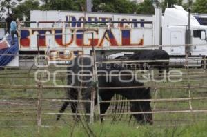 SE INSTALA CIRCO EN PUEBLA