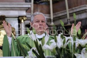 MISA DOMINICAL . CATEDRAL