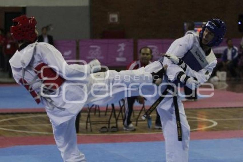 FESTIVAL DEPORTIVO PANAMERICANO