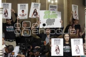 LEY CIRCO SIN ANIMALES . CONGRESO