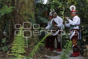 SEGUNDO FESTIVAL DE LA ORQUÍDEA