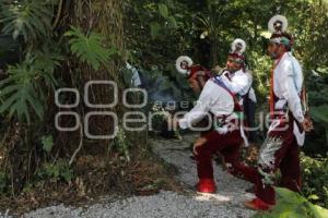 SEGUNDO FESTIVAL DE LA ORQUÍDEA