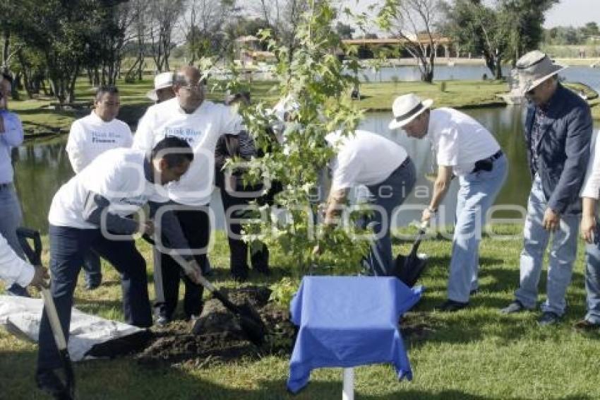 REFORESTACIÓN VOLKSWAGEN