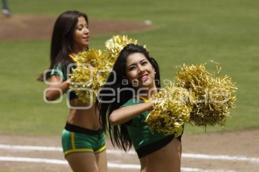 PERICOS VS LEONES . BÉISBOL