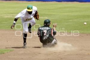 PERICOS VS LEONES . BÉISBOL