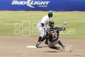 PERICOS VS LEONES . BÉISBOL