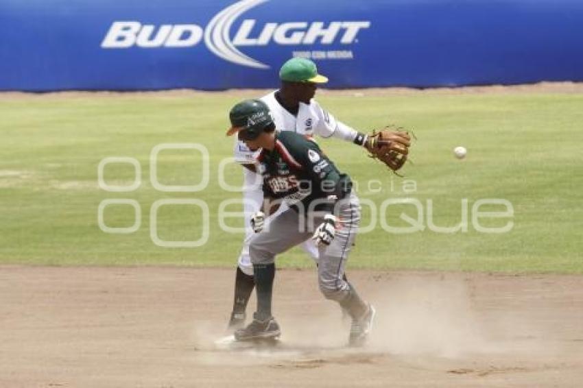 PERICOS VS LEONES . BÉISBOL