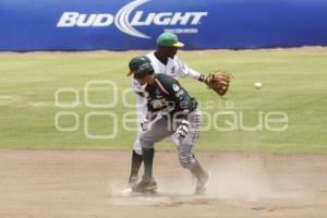 PERICOS VS LEONES . BÉISBOL