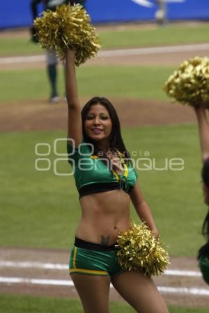 PERICOS VS LEONES . BÉISBOL