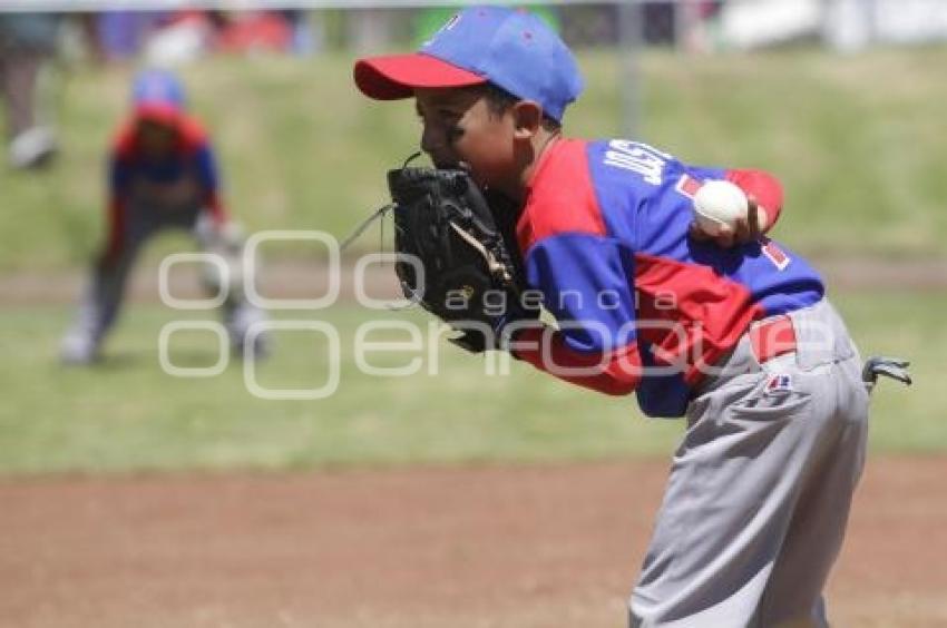 CAMPEONATO NACIONAL BEISBOL