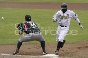 PERICOS VS LEONES . BÉISBOL