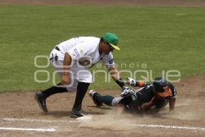 PERICOS VS LEONES . BÉISBOL