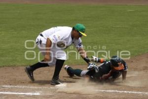 PERICOS VS LEONES . BÉISBOL