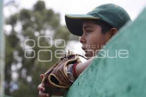 PERICOS VS LEONES . BÉISBOL