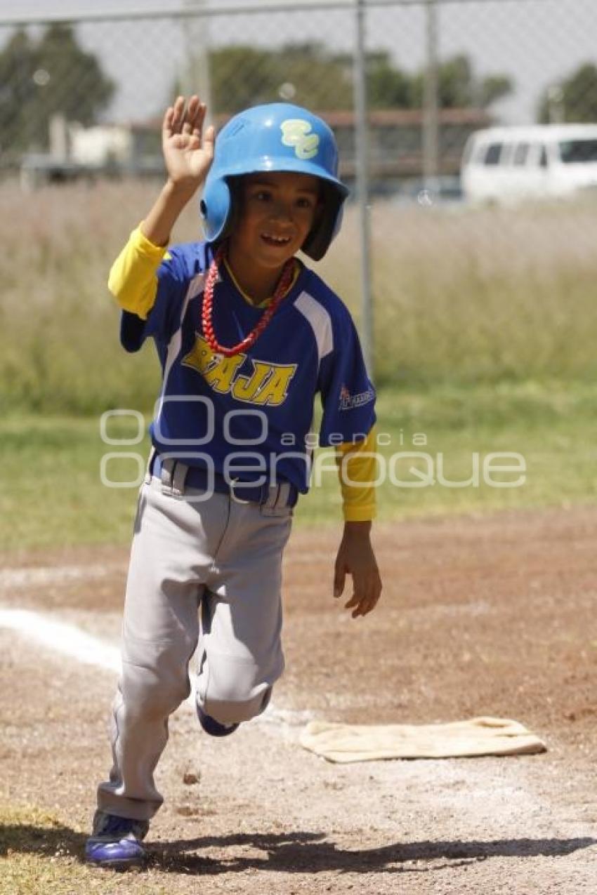 CAMPEONATO NACIONAL BEISBOL