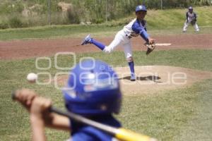 CAMPEONATO NACIONAL BEISBOL