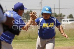 CAMPEONATO NACIONAL BEISBOL