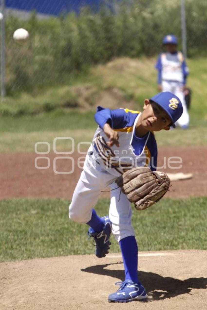 CAMPEONATO NACIONAL BEISBOL