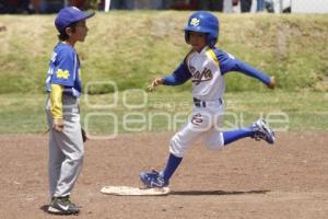 CAMPEONATO NACIONAL BEISBOL