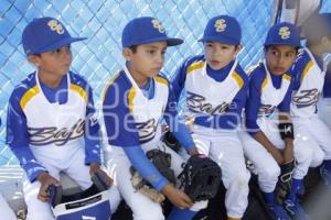 CAMPEONATO NACIONAL BEISBOL