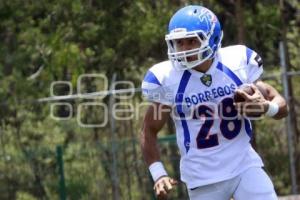 FÚTBOL AMERICANO . BORREGOS