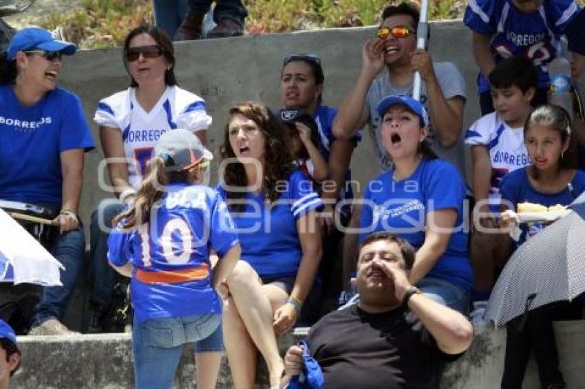 FÚTBOL AMERICANO . BORREGOS