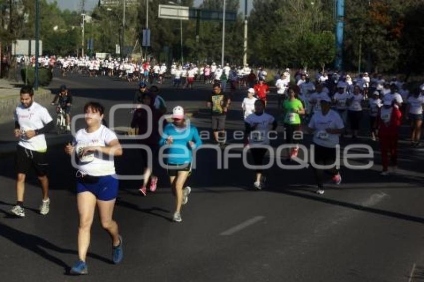 CARRERA TELCEL