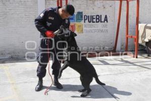 22 DE AGOSTO . DÍA DEL BOMBERO