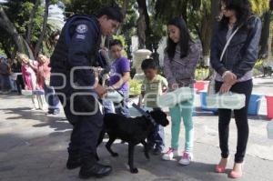 POLICÍA MUNICIPAL . DEMOSTRACIÓN