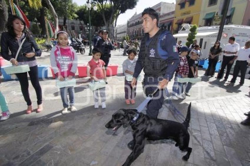 POLICÍA MUNICIPAL . DEMOSTRACIÓN